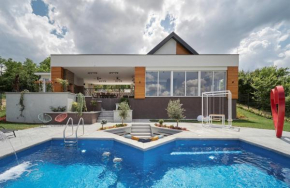 Riverside pool villa-Sremski Karlovci, Sremski Karlovci
